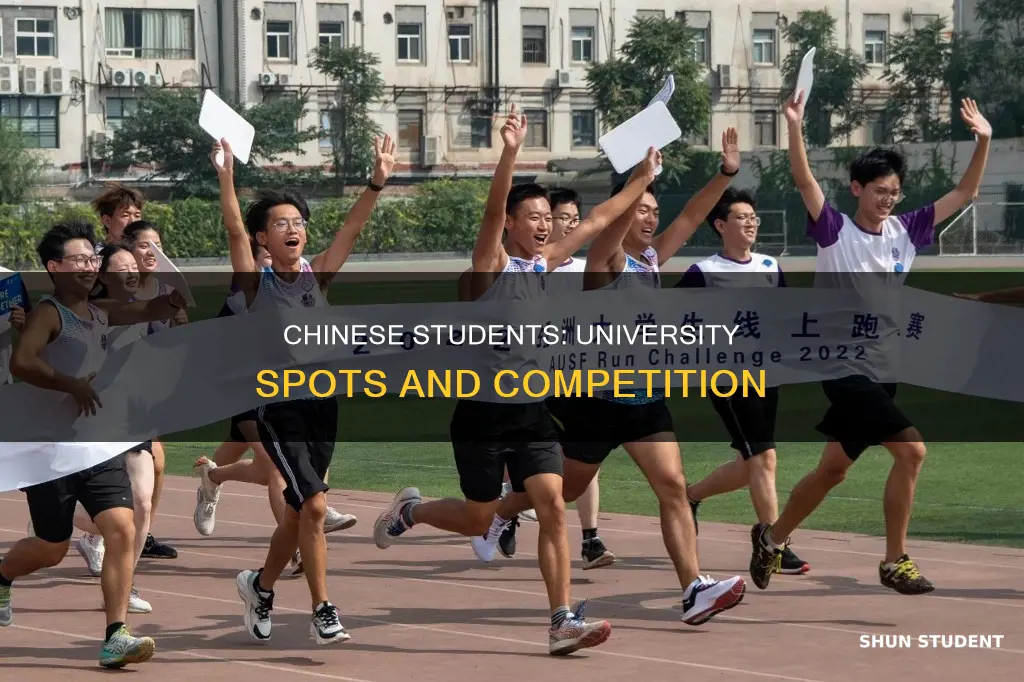 how many universities spots are offered to chinese students