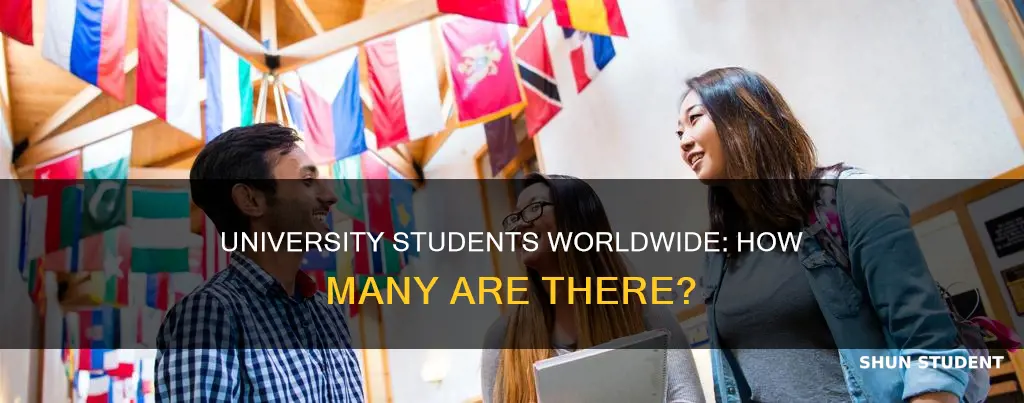 how many universities students in the world