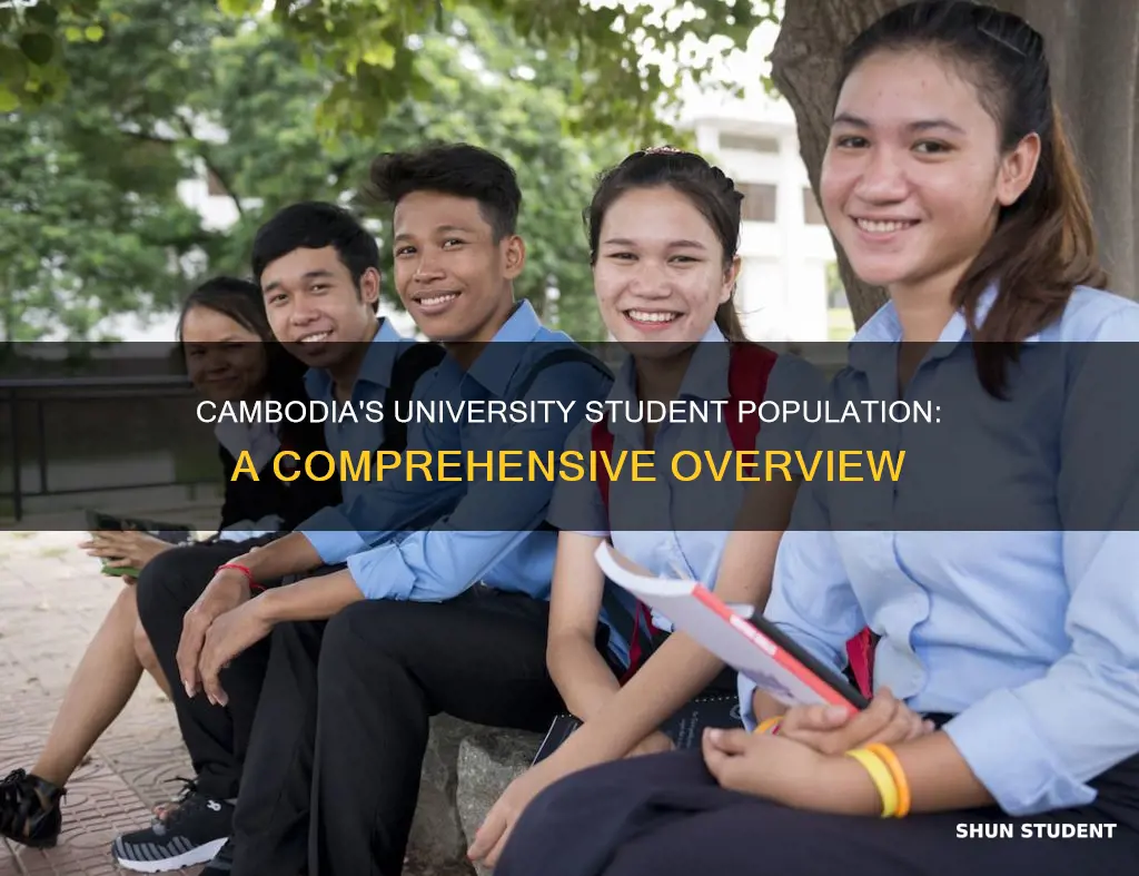 how many university student in cambodia