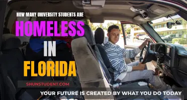 Florida's Homeless University Students: A Startling Number