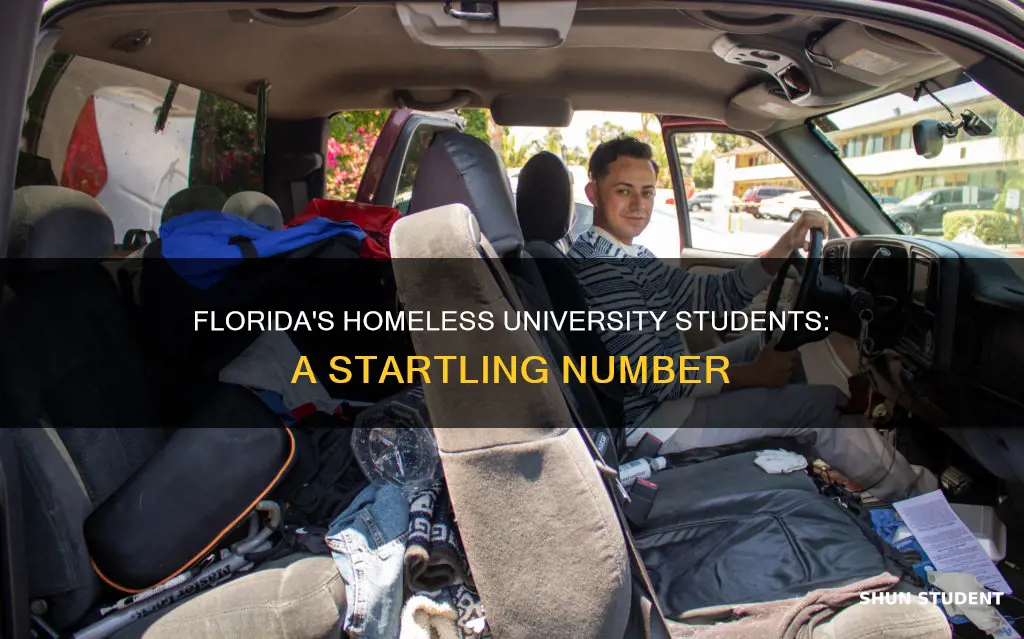 how many university students are homeless in florida