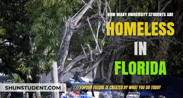 Florida's Homeless University Students: A Troubling Trend