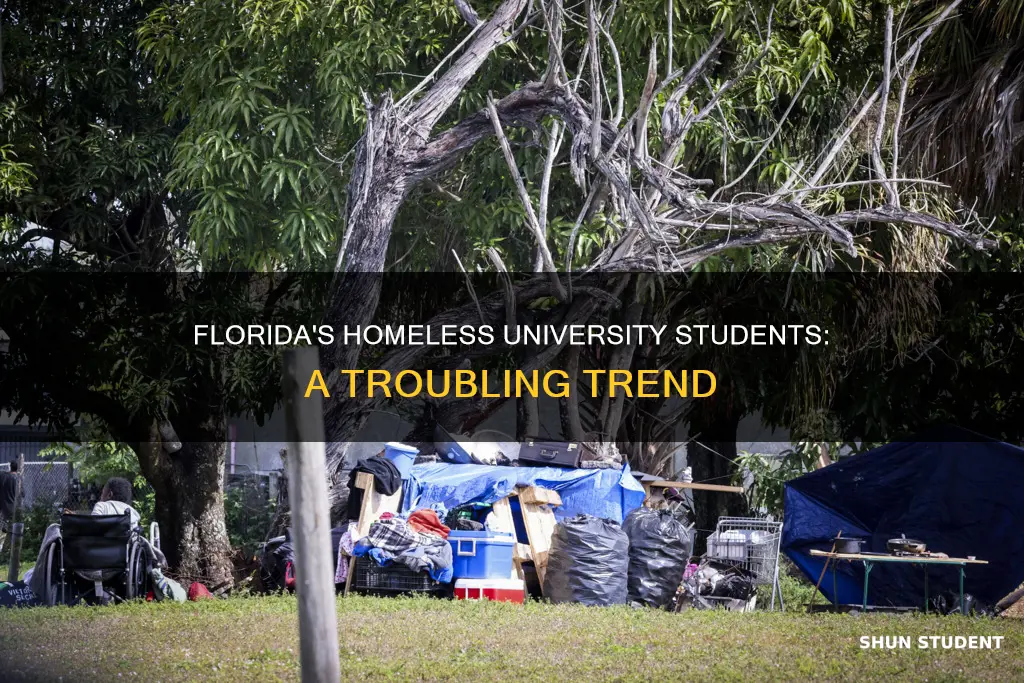 how many university students are homeless in florida