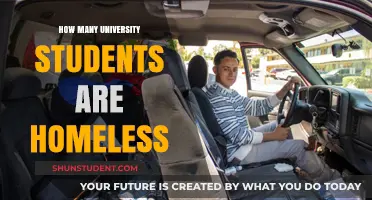 University Students: The Homeless Crisis