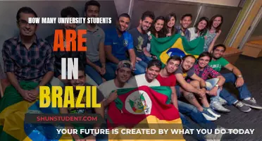 University Students in Brazil: What's the Count?