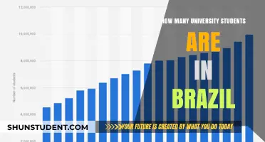 University Students in Brazil: How Many?