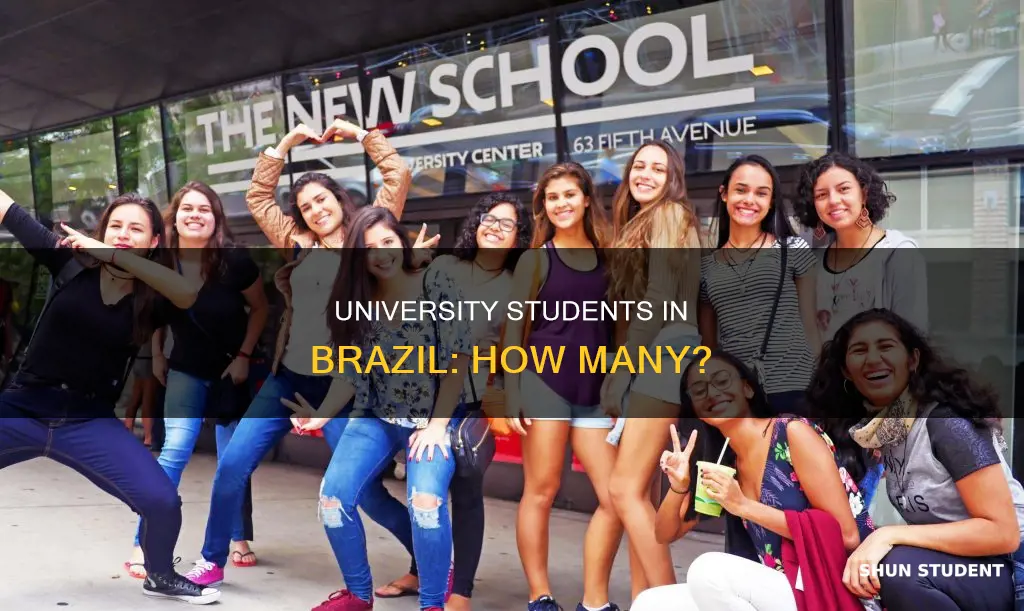 how many university students are in brazil