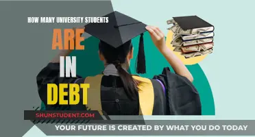 University Students Plagued by Debt: How Many?