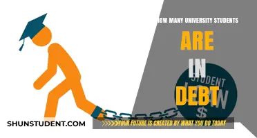 University Students: A Generation in Debt