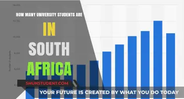 University Students in South Africa: How Many Are There?