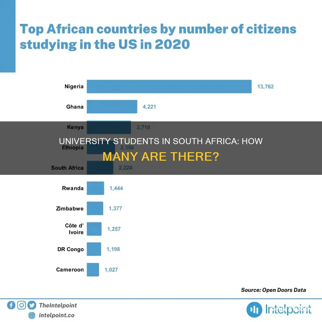 how many university students are in south africa