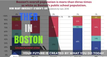 Boston's Student Population: A Comprehensive Overview