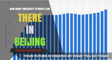University Students in Beijing: A Thriving Population