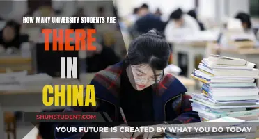 University Students in China: A Population Overview