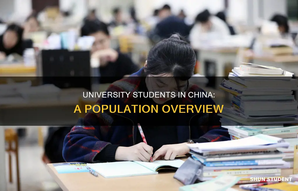 how many university students are there in china