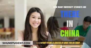University Students in China: A Population Overview