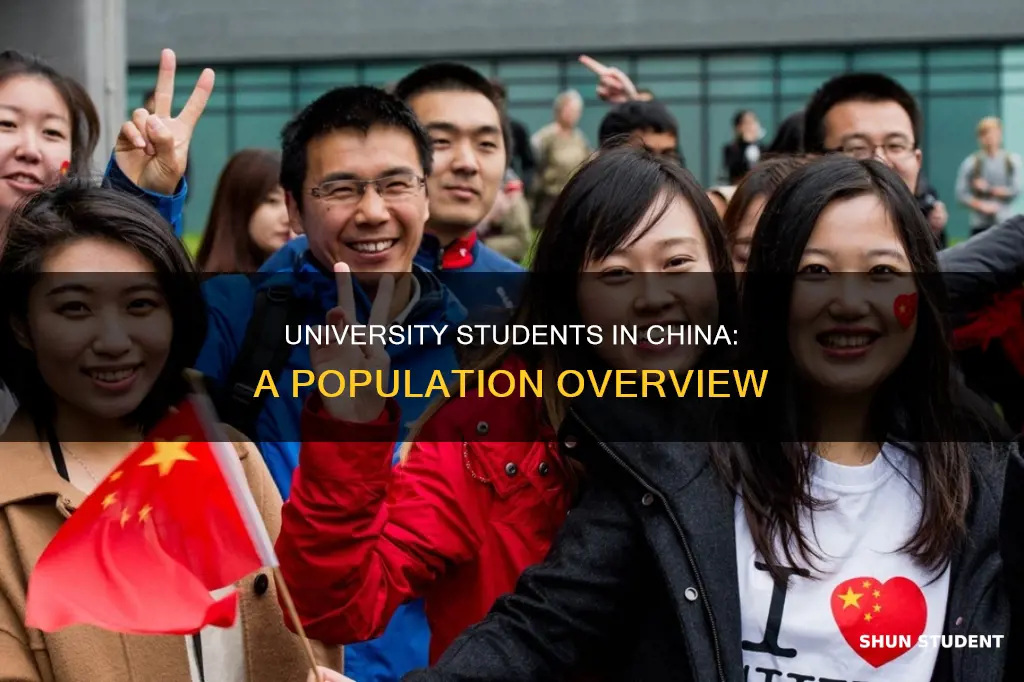 how many university students are there in china