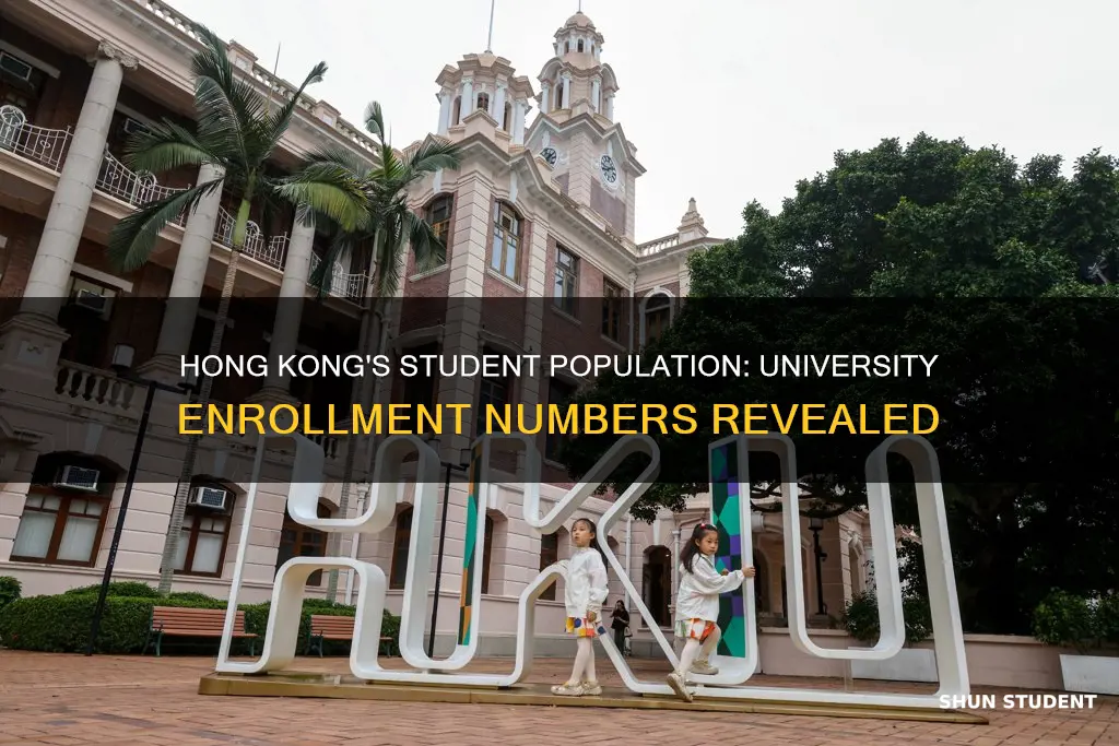 how many university students are there in hong kong