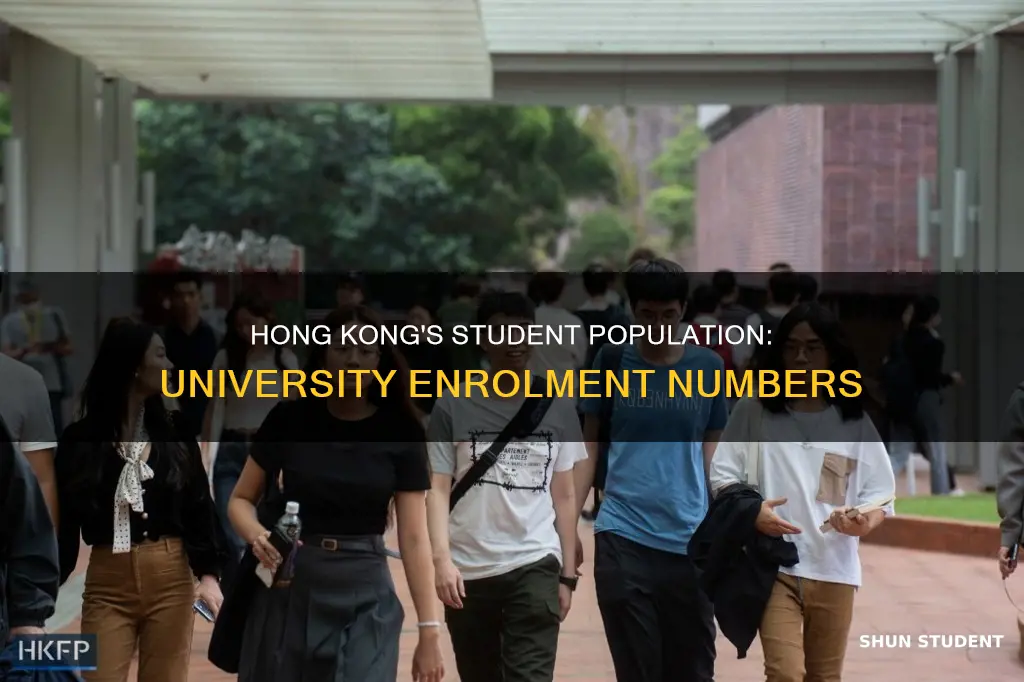 how many university students are there in hong kong