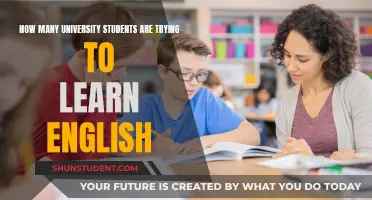 English Learning Among University Students: A Global Trend