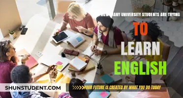 University Students' English Learning Endeavors