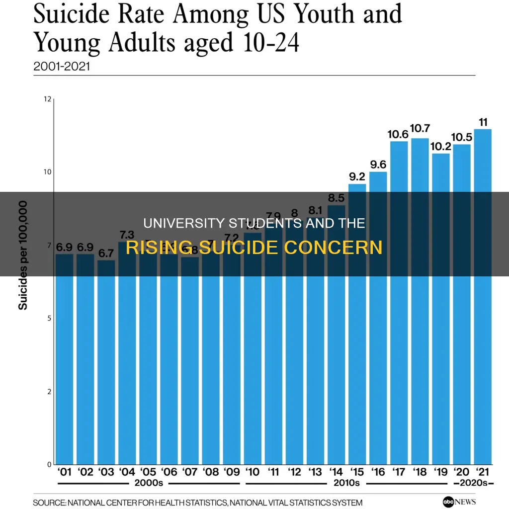 how many university students commit suicide