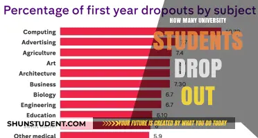 University Dropouts: A Troubling Trend Examined