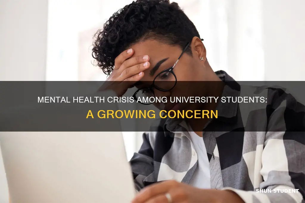 how many university students experience mental health problems