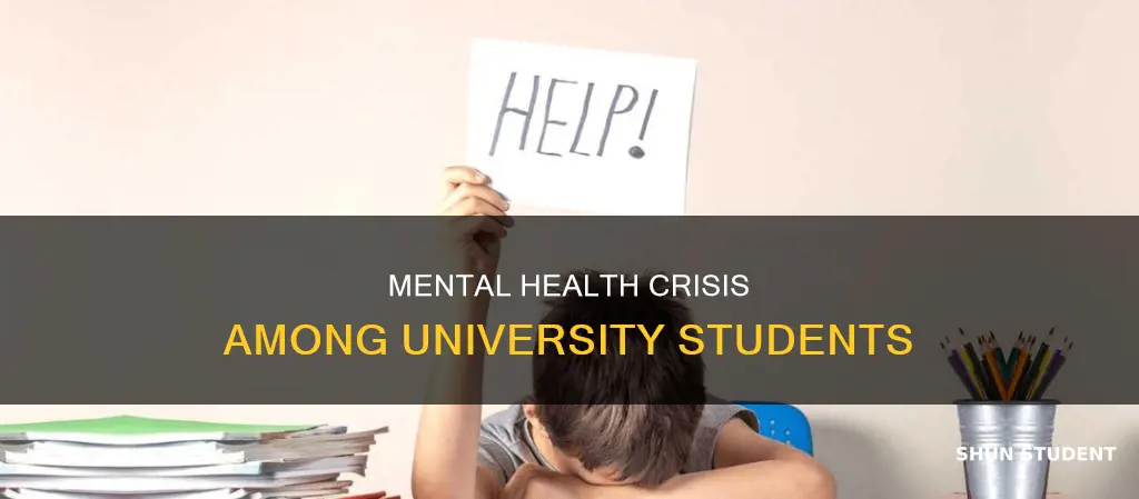 how many university students experience mental health problems