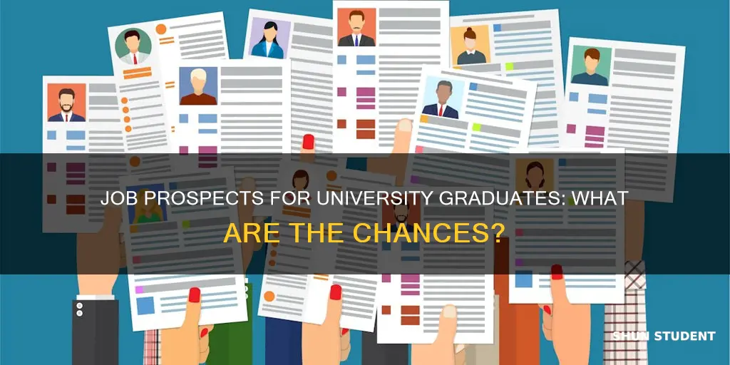 how many university students find the jobs after graduation