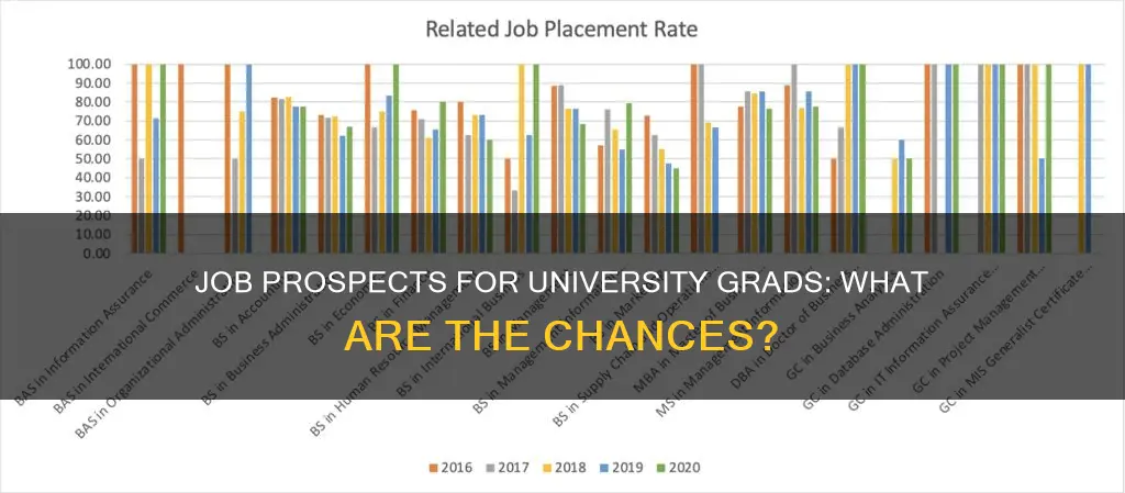 how many university students find the jobs after graduation