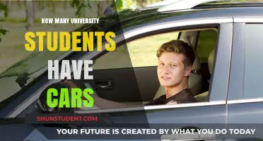 University Students: Who Owns Cars?
