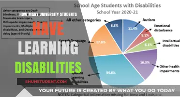 University Students: Learning Disabilities and Challenges