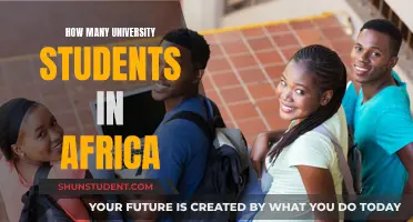 African University Students: Counting the Numbers