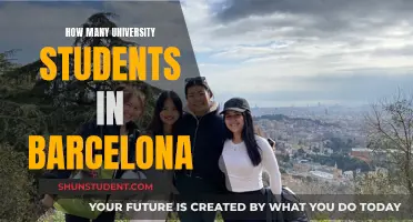 Exploring Barcelona's Vibrant Student Population: University Enrollment Insights