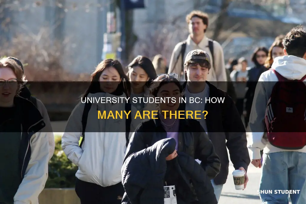 how many university students in bc