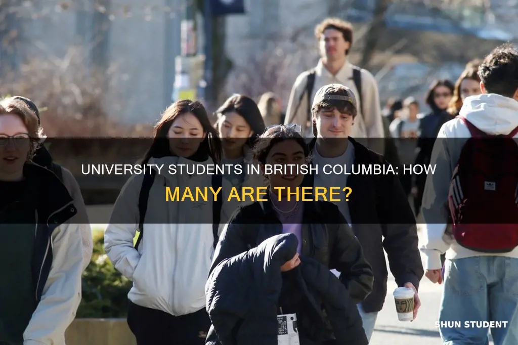 how many university students in british columbia