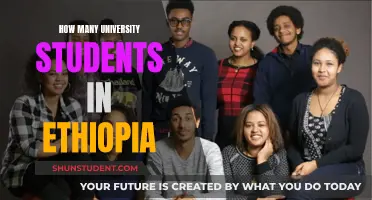 University Education in Ethiopia: Student Population Insights