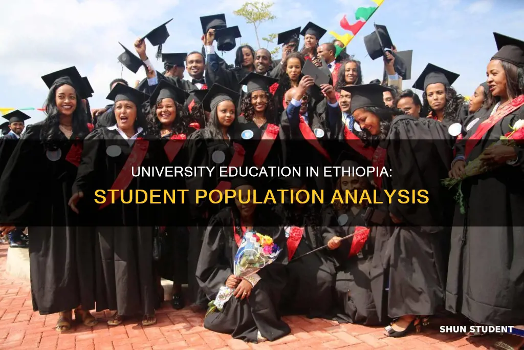 how many university students in ethiopia