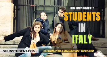 Italian University Students: How Many Are There?