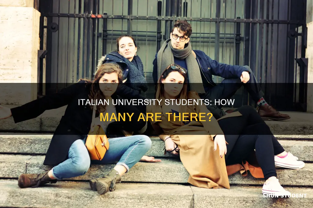 how many university students in italy