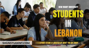 Exploring Lebanon's University Student Population