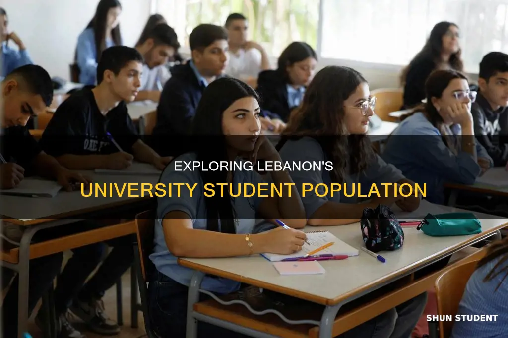 how many university students in lebanon