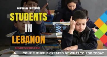 University Students in Lebanon: A Comprehensive Overview