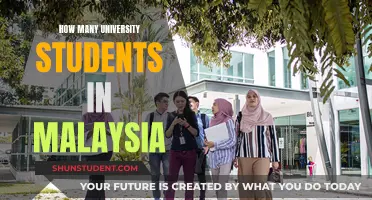 University Education in Malaysia: Student Population Insights