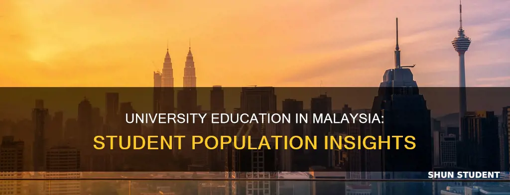 how many university students in malaysia