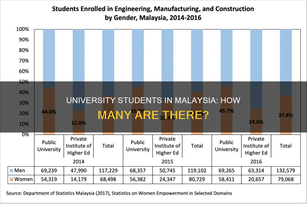 how many university students in malaysia