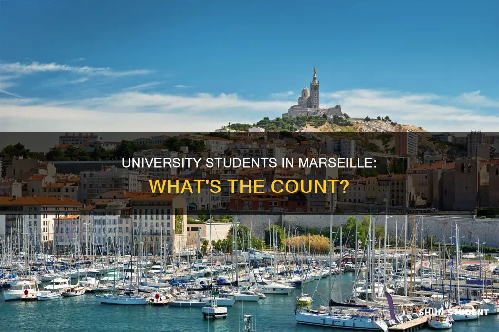 how many university students in marseille