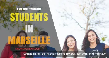 Marseille's University Student Population: A Comprehensive Overview