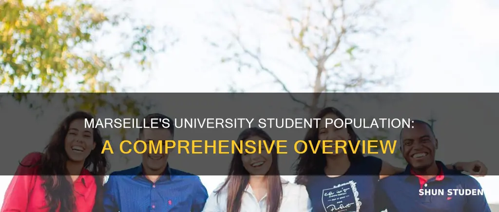 how many university students in marseille